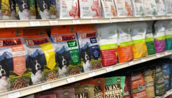 Prednosti visoko kvalitetne hrane za pse i hrane za mačke